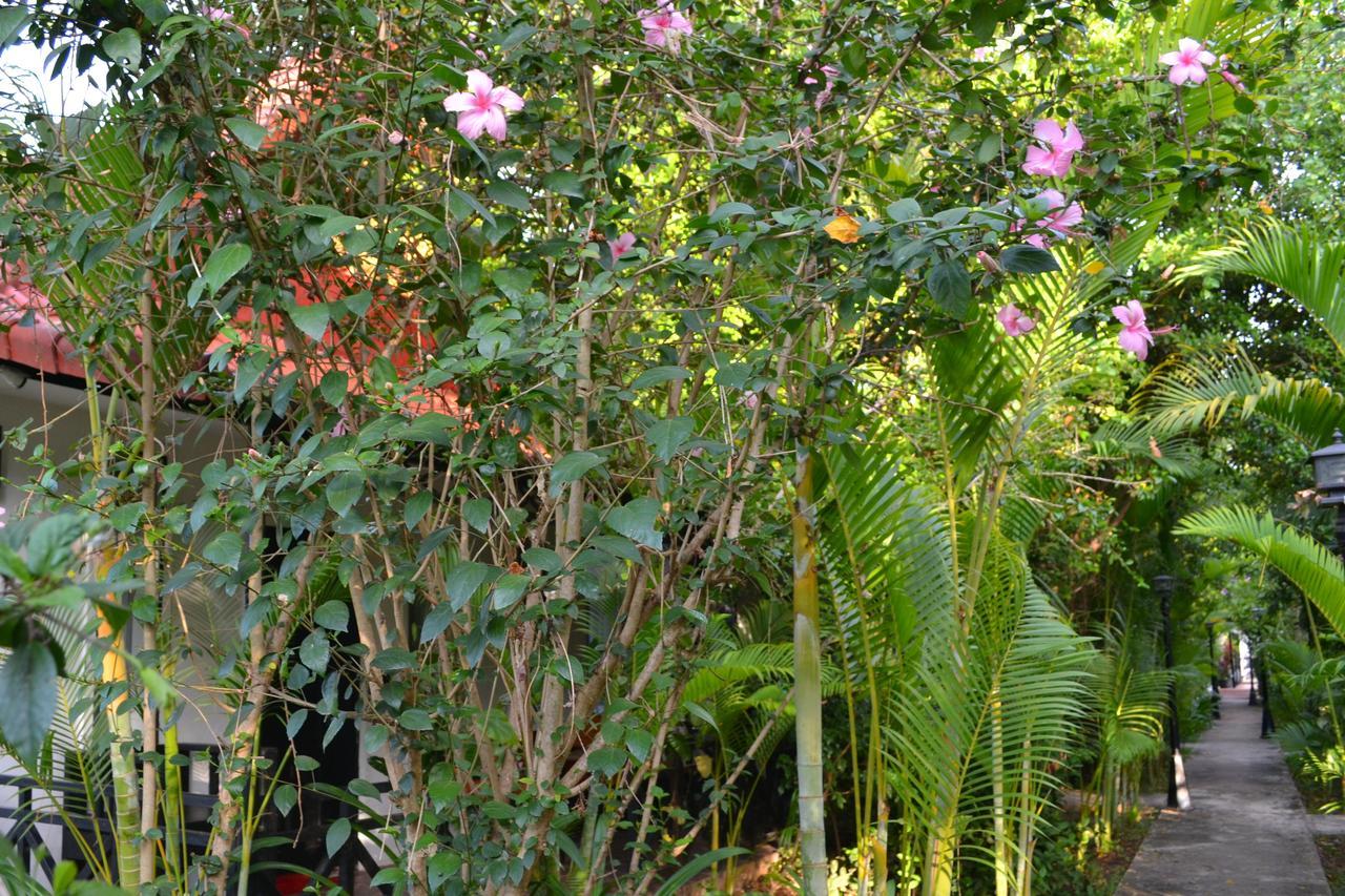 Nature Boutique Residence Siem Reap Esterno foto