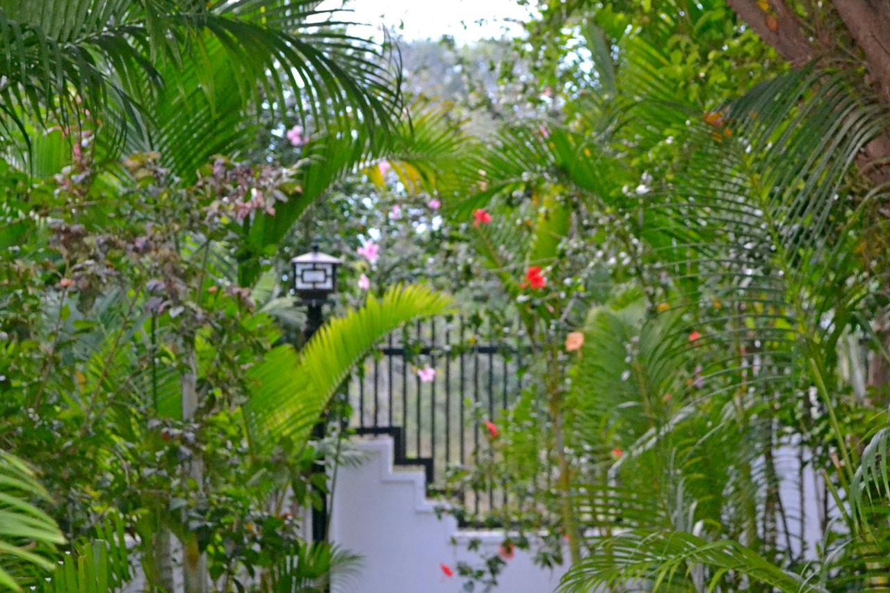 Nature Boutique Residence Siem Reap Esterno foto